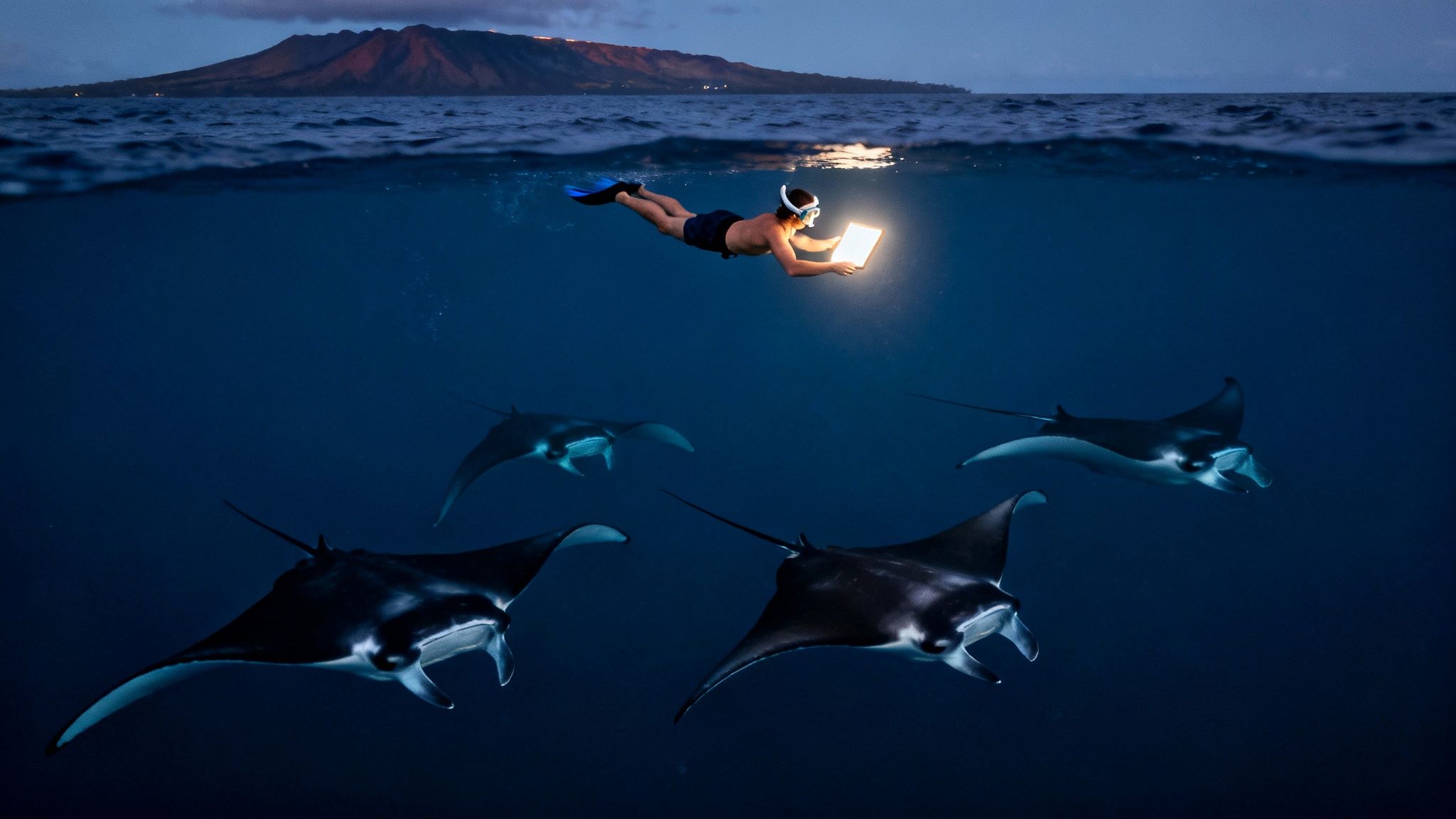 Manta Ray Snorkel Big Island Guide