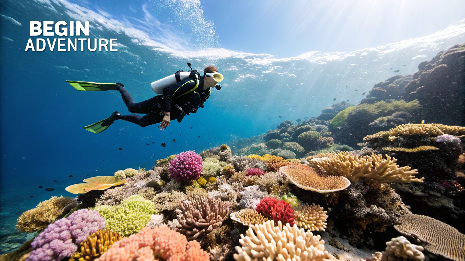 Crystal-clear waters of Kealakekua Bay