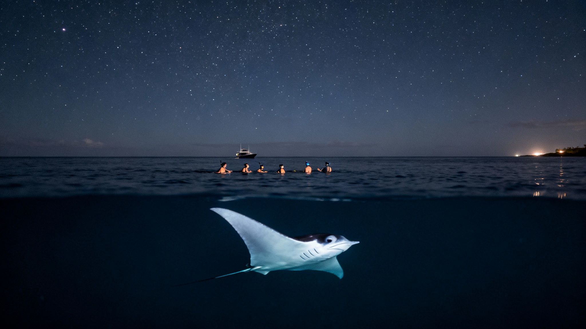 Manta ray swimming beneath snorkelers floating at night under starry sky near Big Island