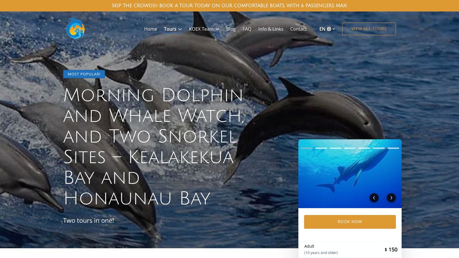 Kona Ocean Experience