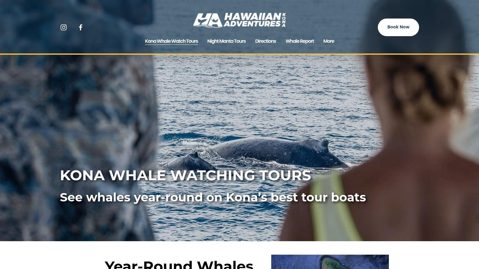 A tour boat from Hawaiian Adventures Kona observes a whale from a safe distance in the clear blue waters off the Big Island.