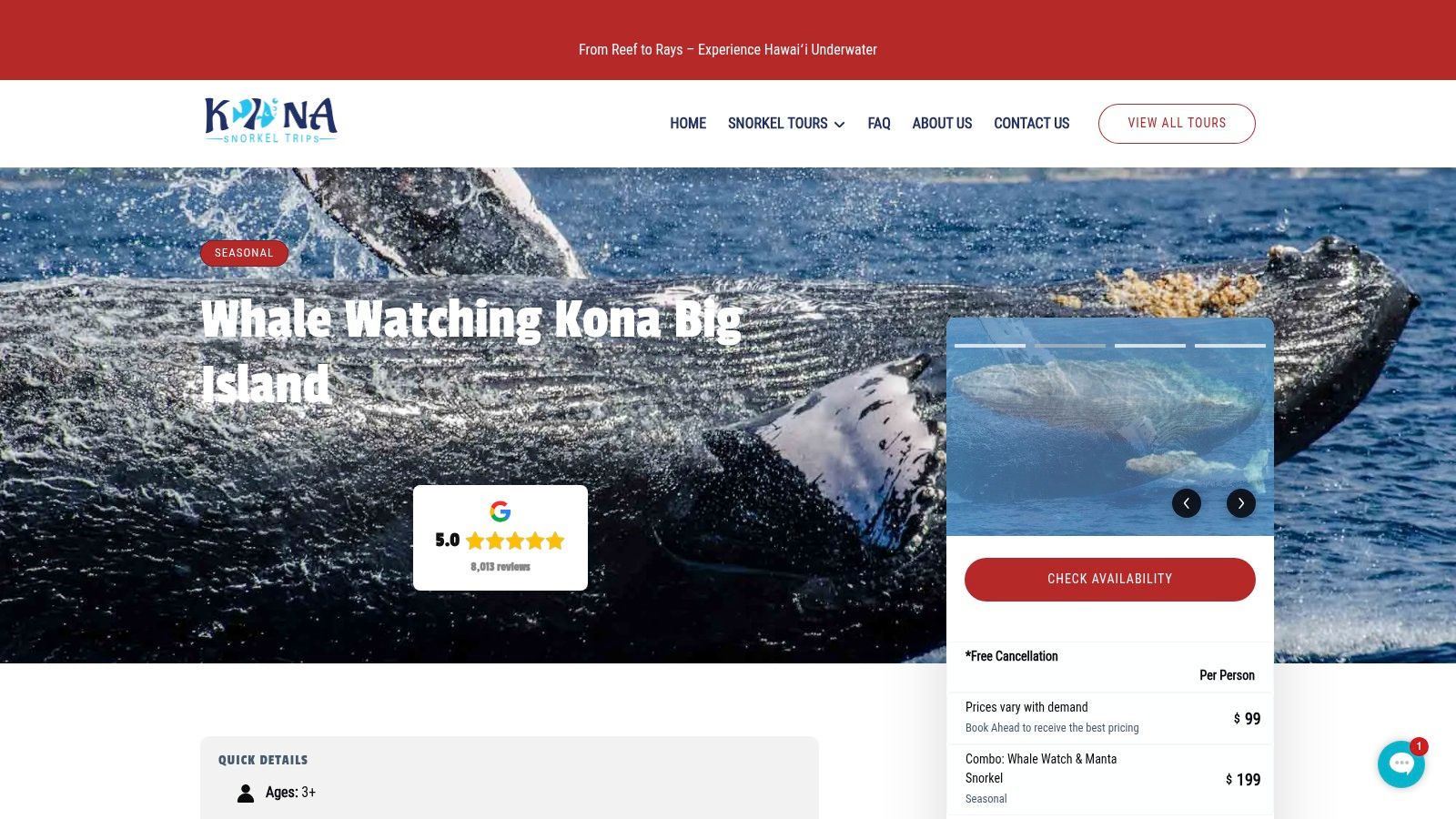 Whale Watching Kona Big Island Tours | Kona Snorkel Trips