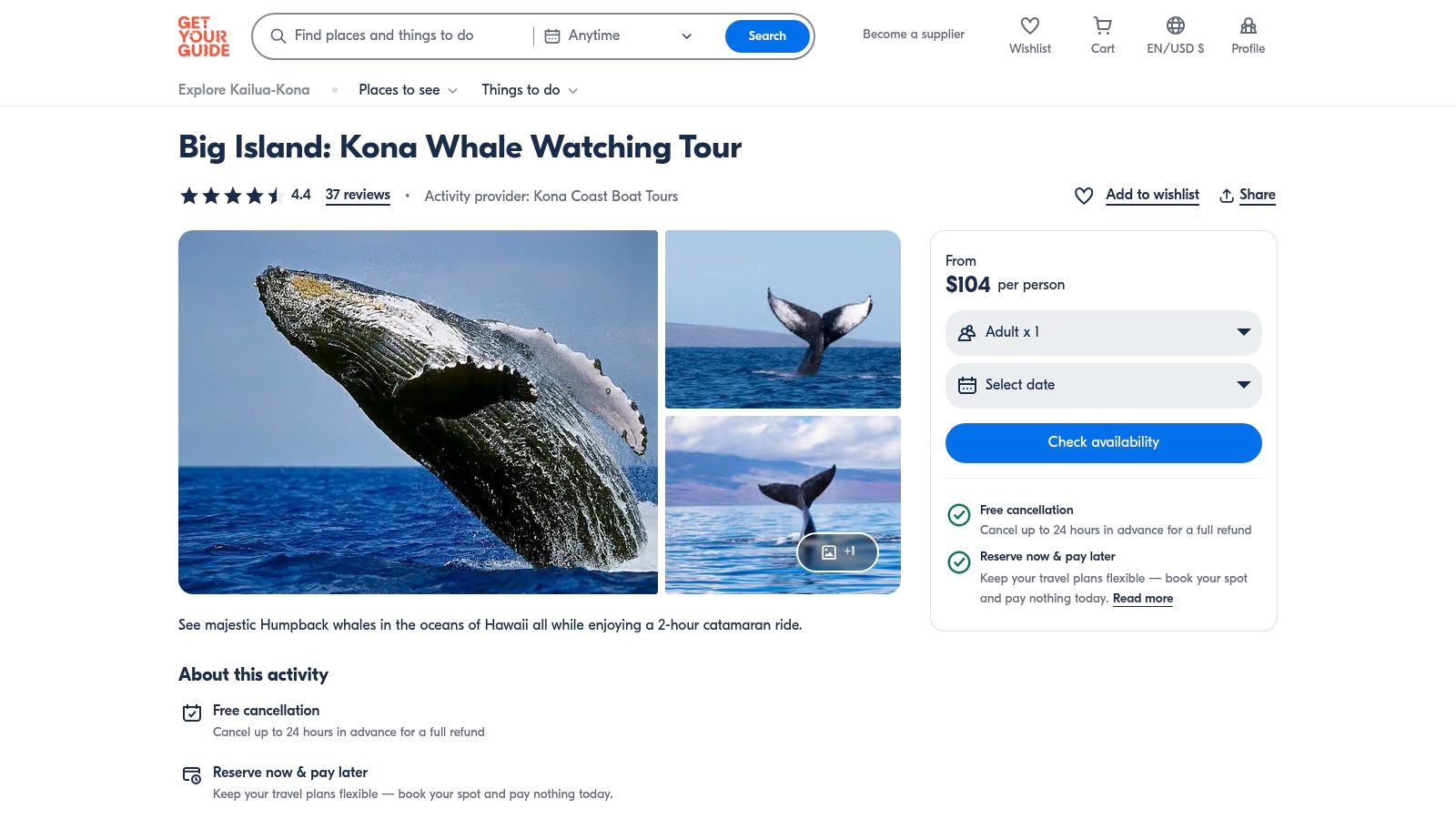 GetYourGuide (OTA) – Kona Whale Watching