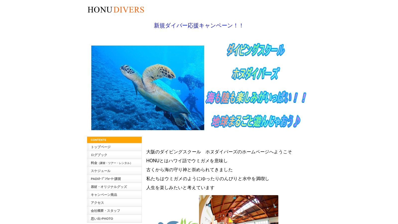 Honu Divers