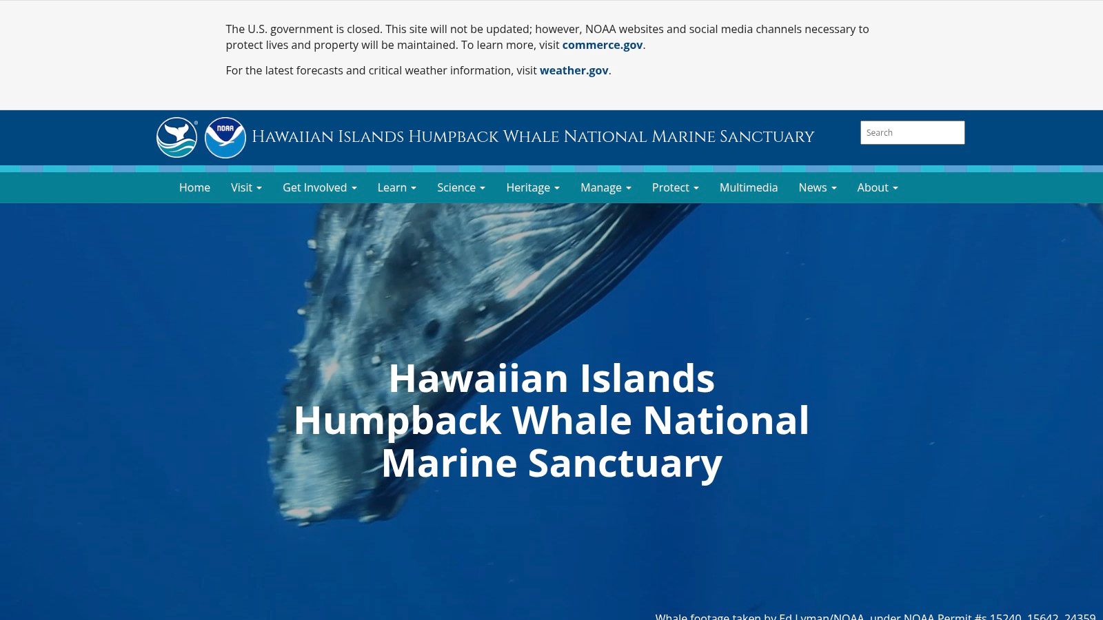 Hawaiian Islands Humpback Whale National Marine Sanctuary (NOAA)