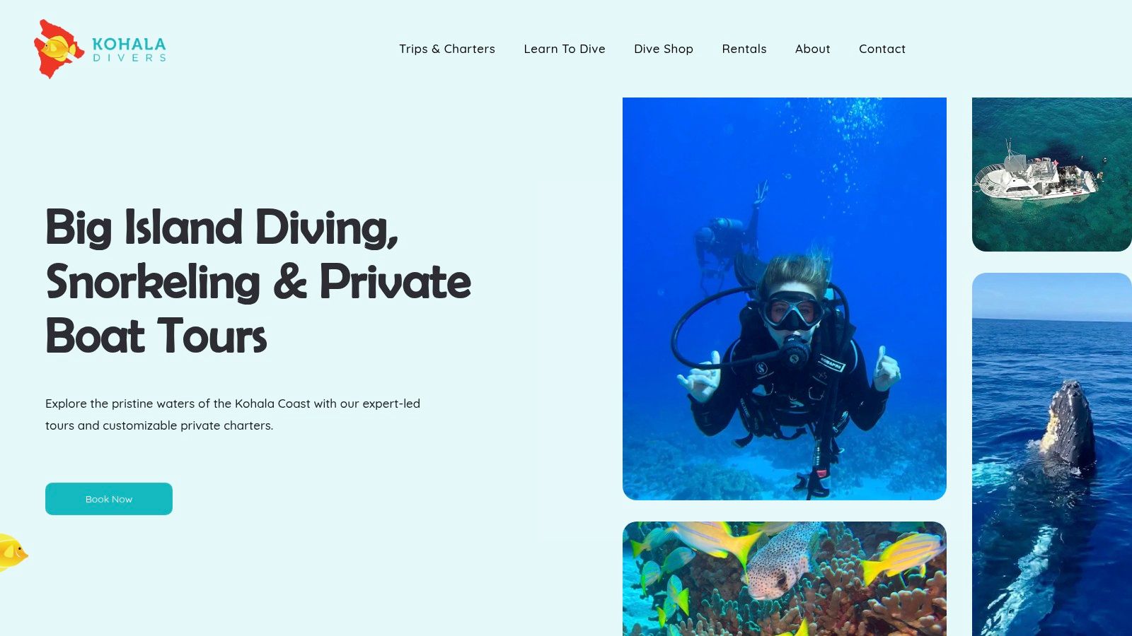 Kohala Divers