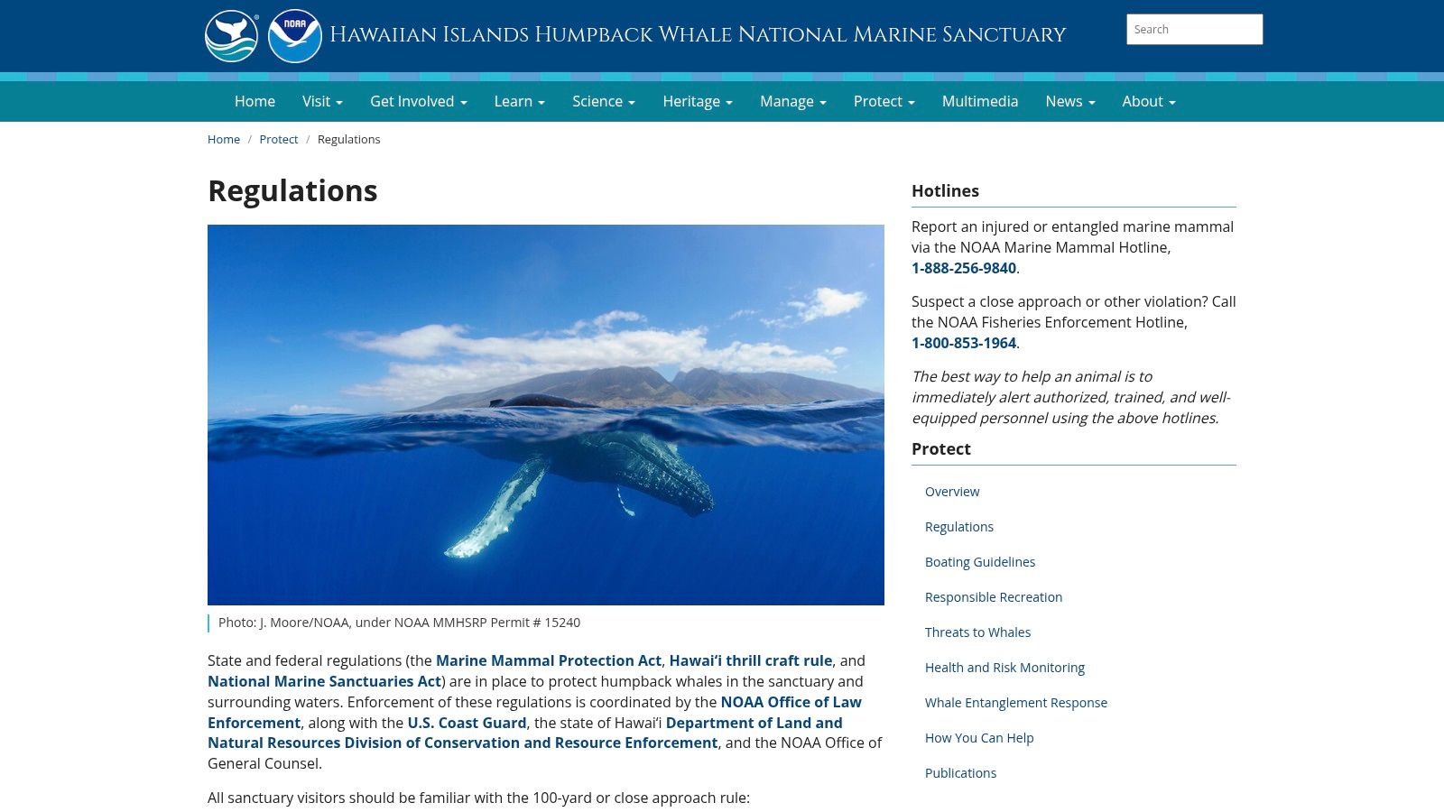 NOAA – Hawaiian Islands Humpback Whale National Marine Sanctuary & NOAA Fisheries