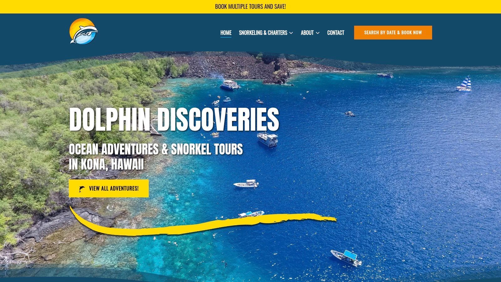 Dolphin Discoveries (Kona)