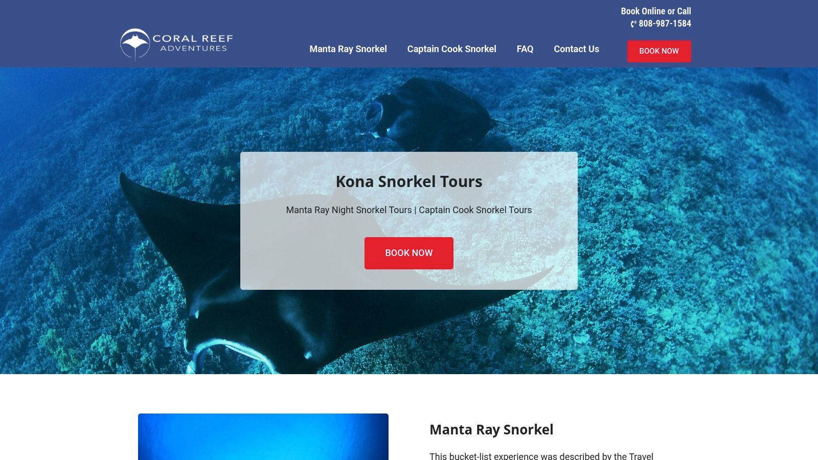 A large manta ray glides through the dark water, illuminated by lights from a snorkel tour.