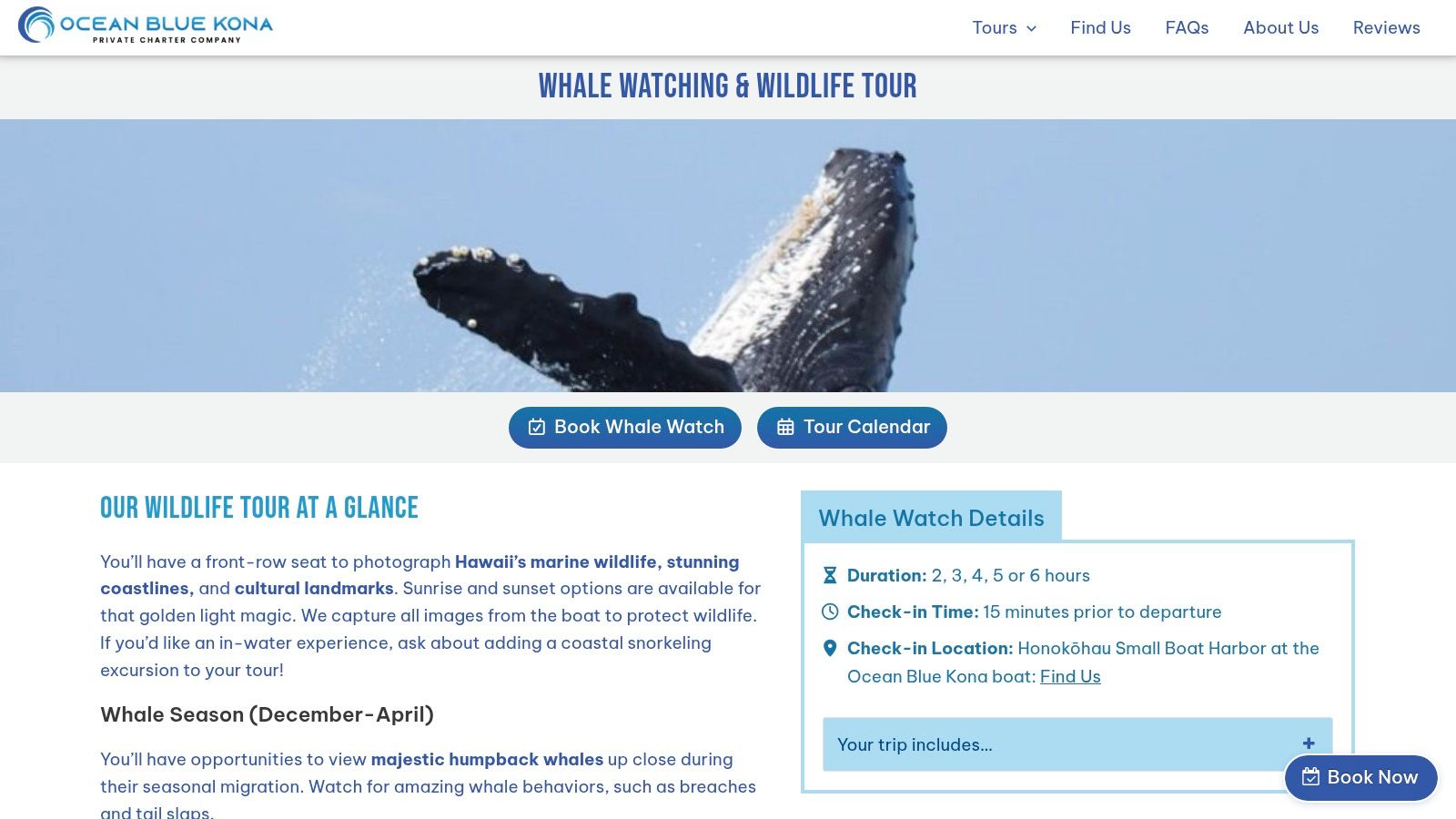 Ocean Blue Kona – Whale Watching & Wildlife