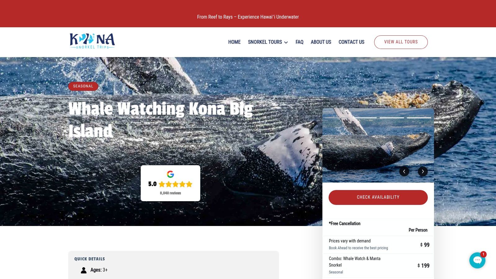 Whale Watching Kona Big Island Tours | Kona Snorkel Trips