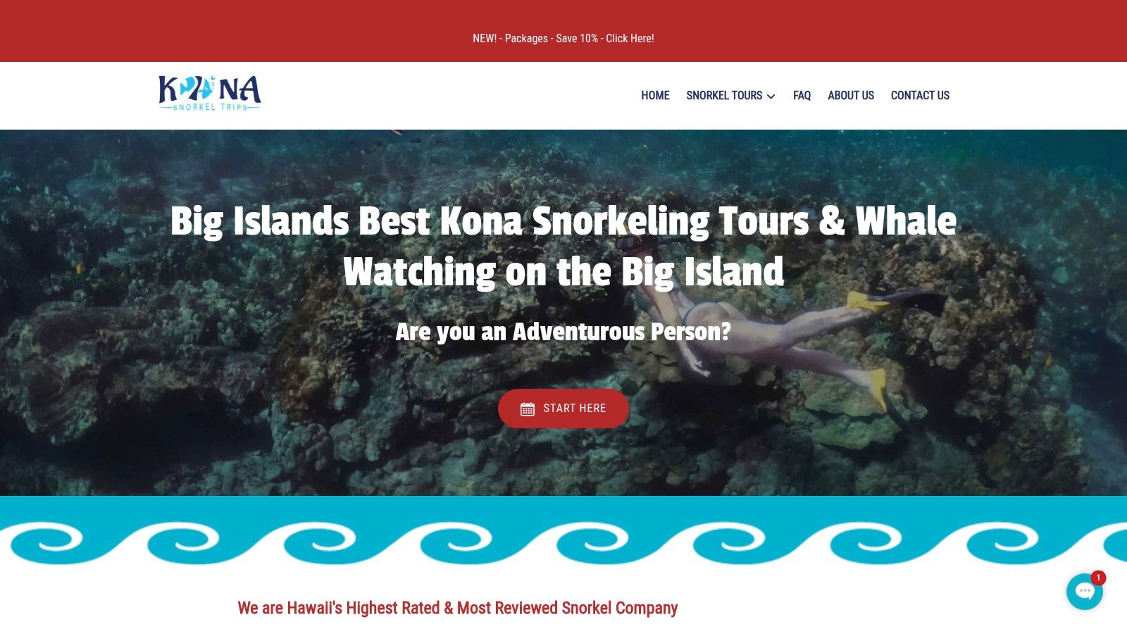 Kona Snorkel Trips: The Ultimate All-Rounder