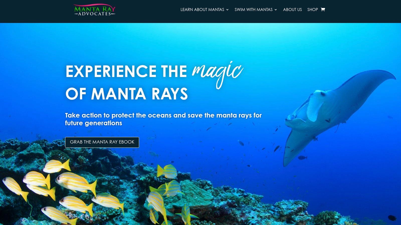 Manta Ray Advocates Hawaii