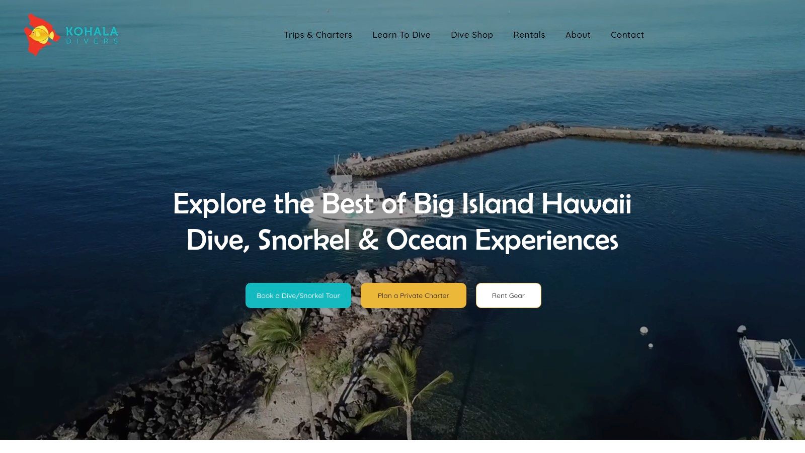Coral Reef Snorkel Adventure by Kohala Divers