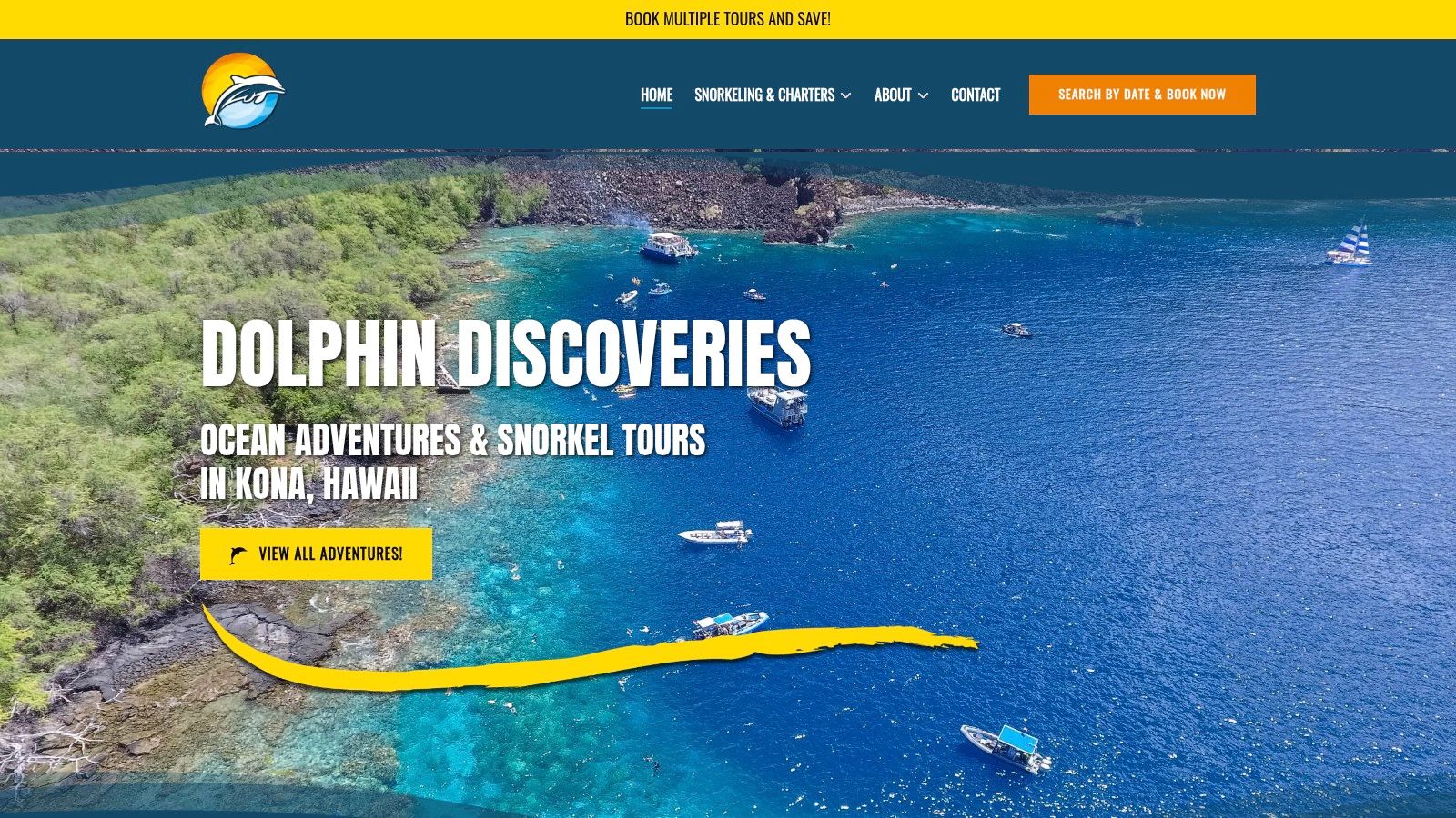 Dolphin Discoveries (Kona)