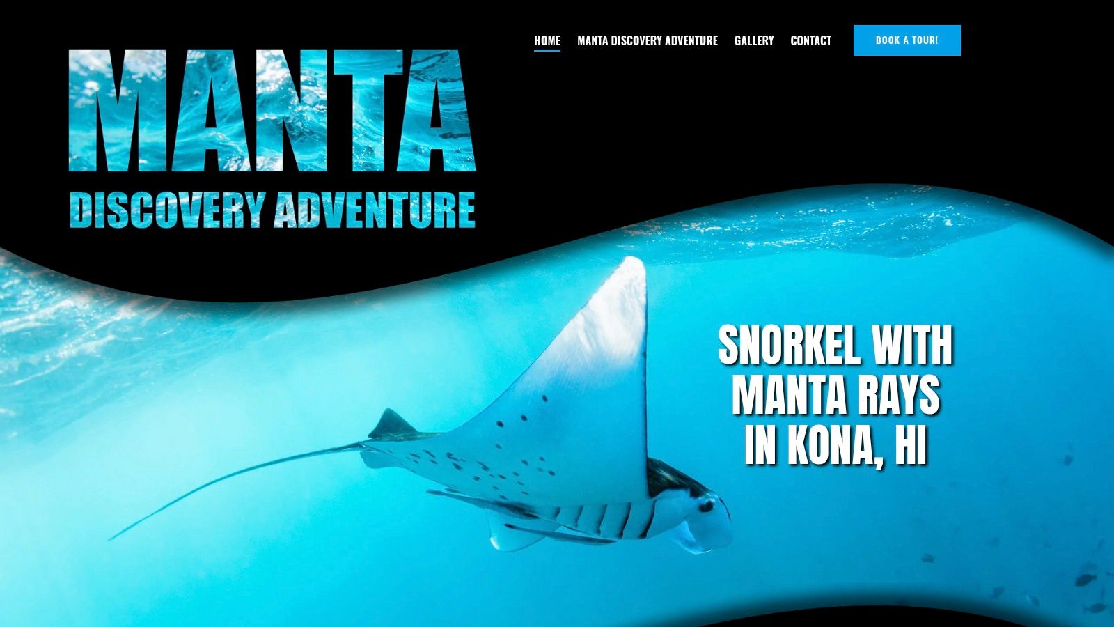 Dolphin Discoveries / Manta Discovery Adventure (Mantasnorkelkona.com)