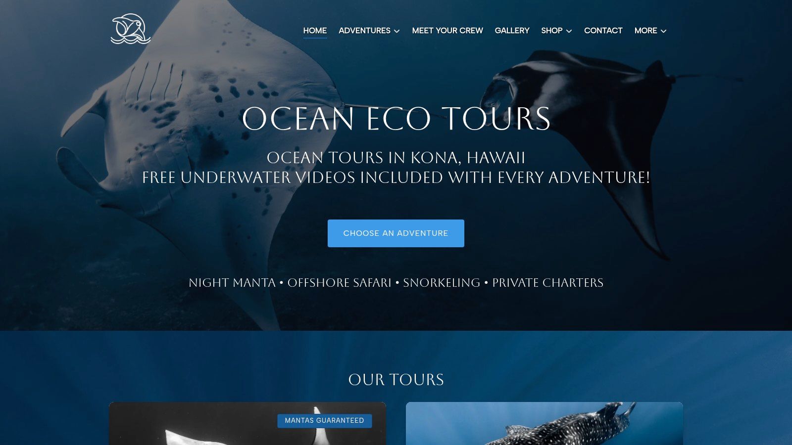 Ocean Eco Tours