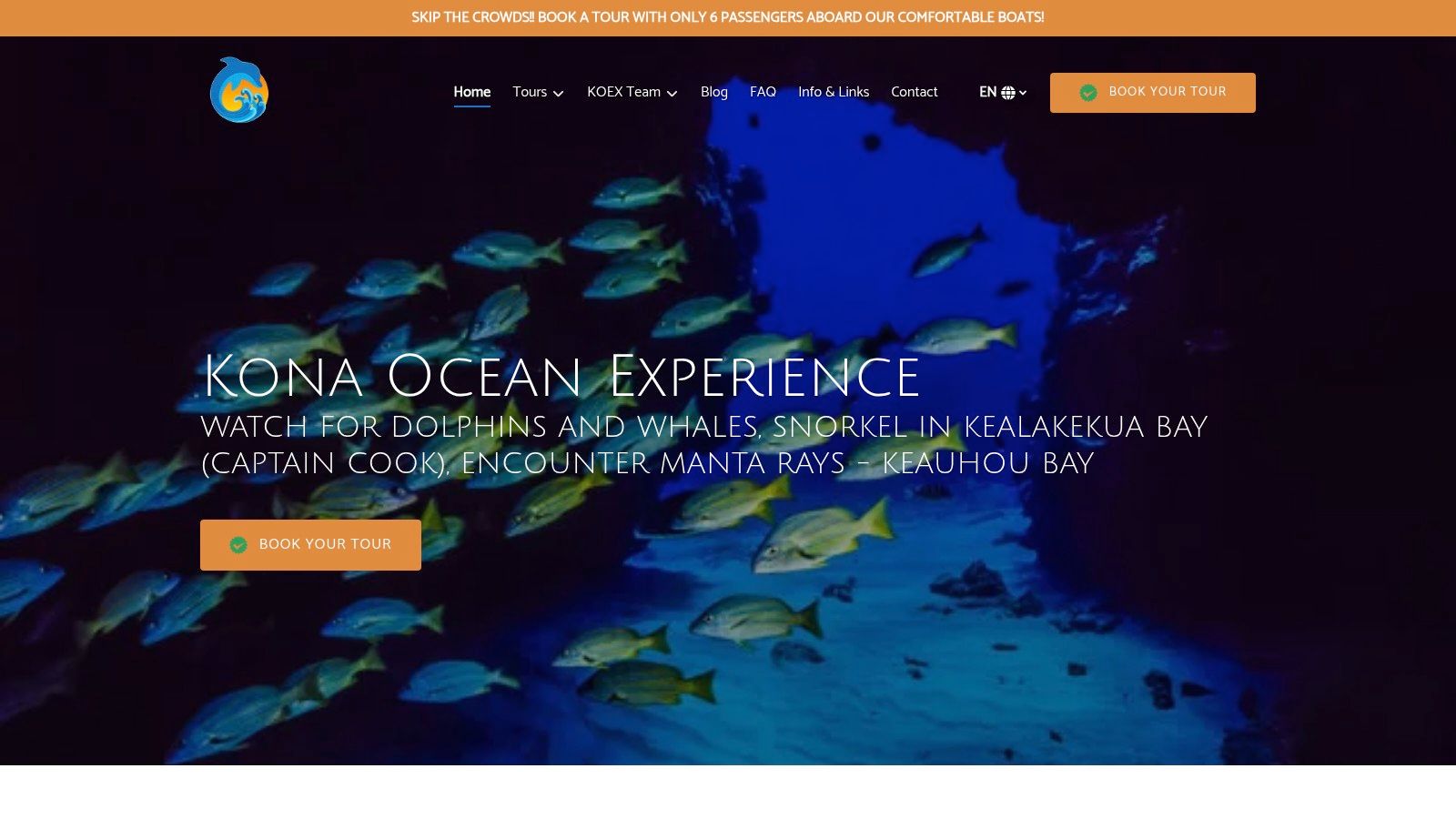 Kona Ocean Experience