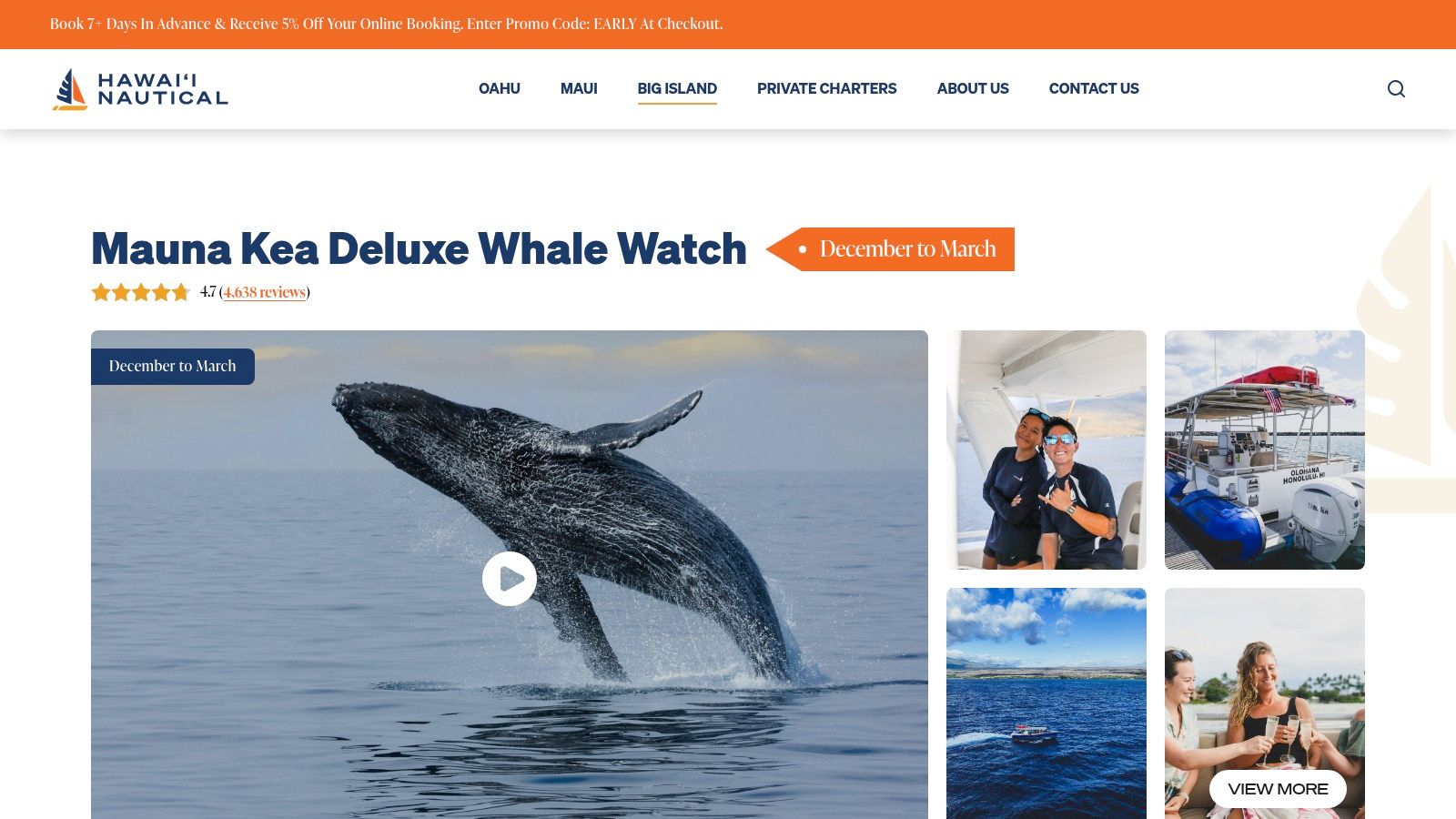 A humpback whale's tail fin rises out of the ocean near a tour boat in Hawaii.