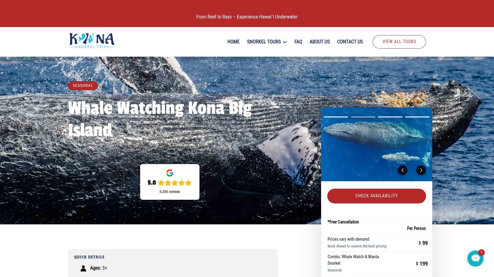Whale Watching Kona Big Island Tours | Kona Snorkel Trips
