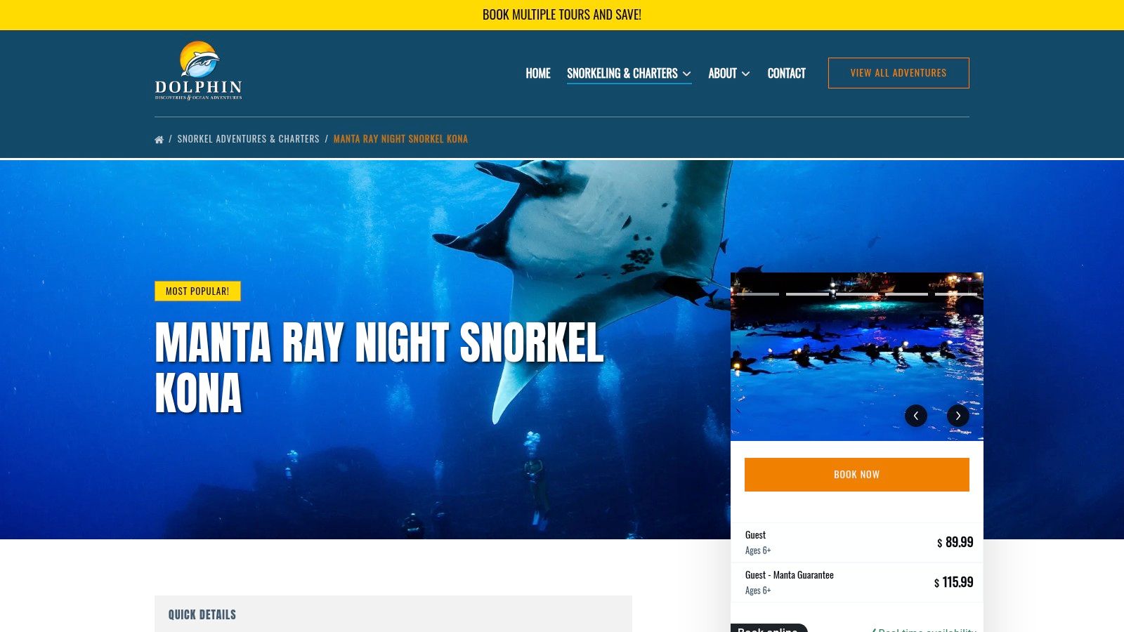 Dolphin Discoveries