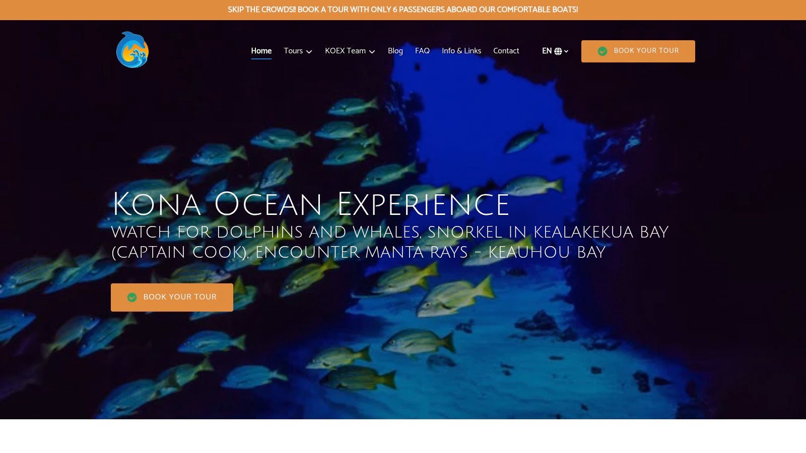 Kona Ocean Experience