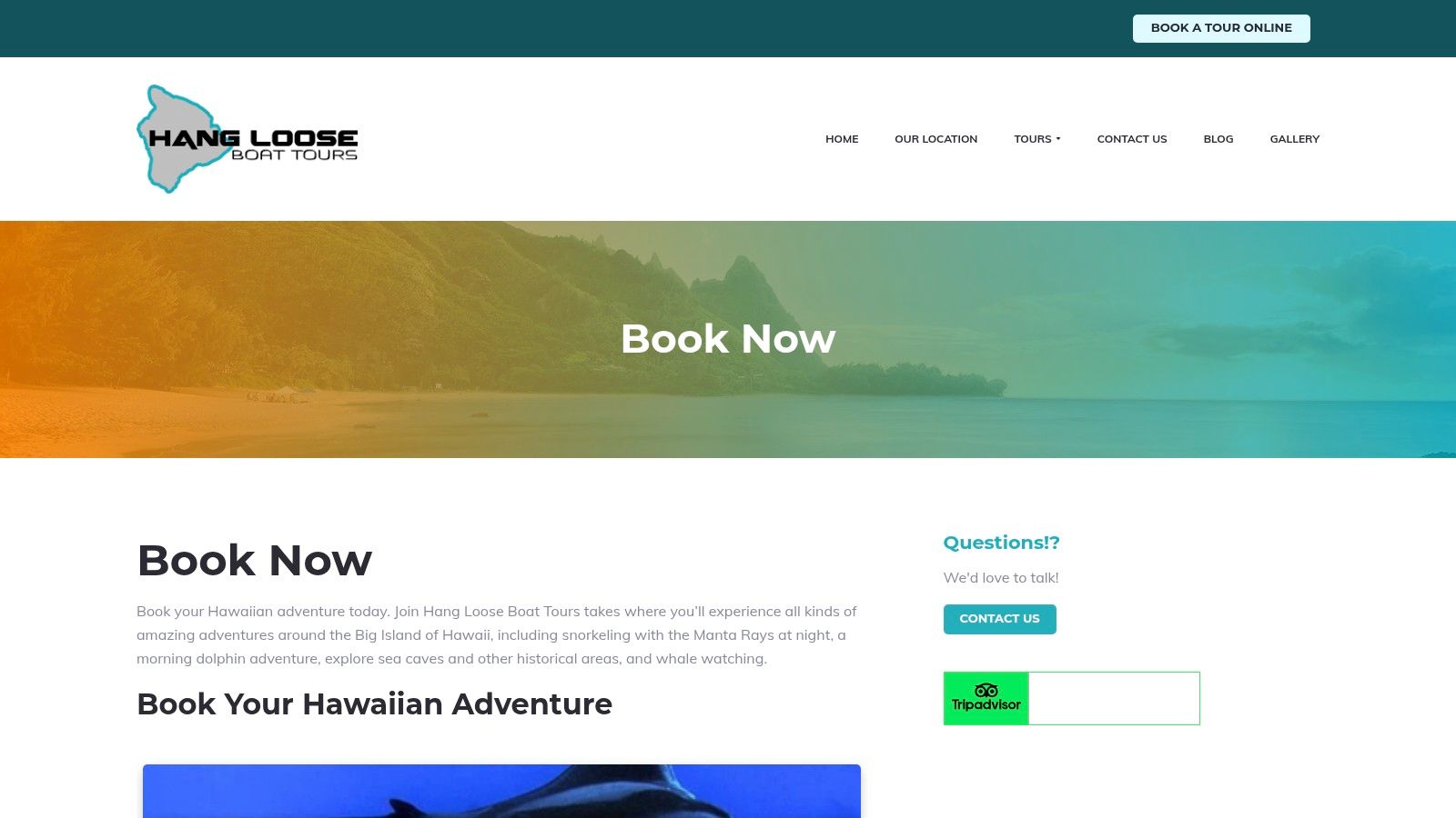 Hang Loose Boat Tours