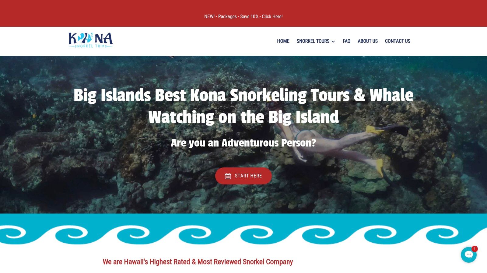Group of snorkelers with Kona Snorkel Trips enjoying the clear waters of the Big Island.