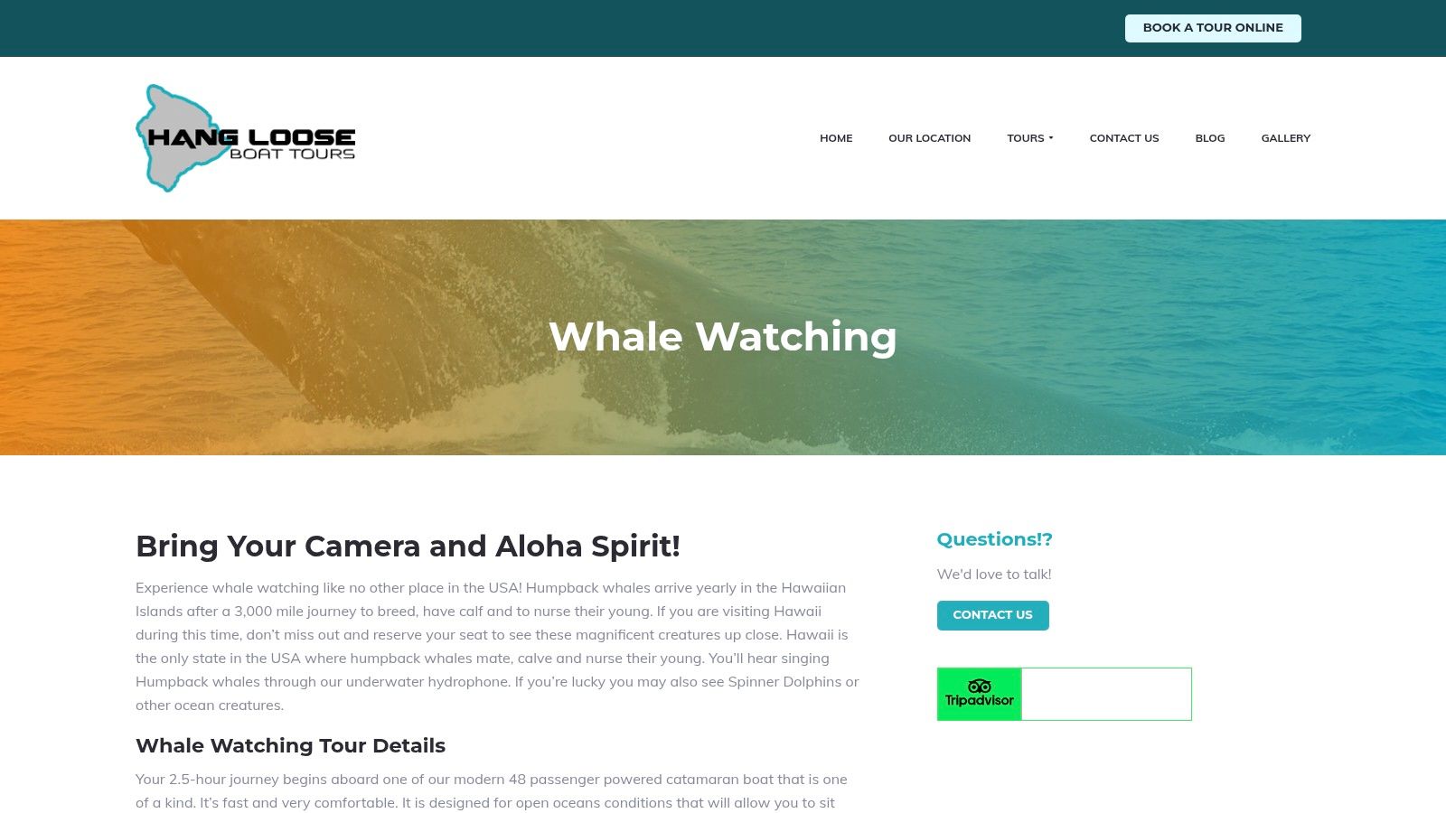 Hang Loose Boat Tours