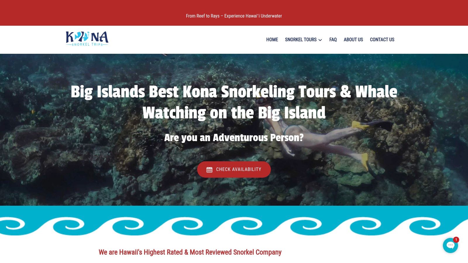 1. Kona Snorkel Trips