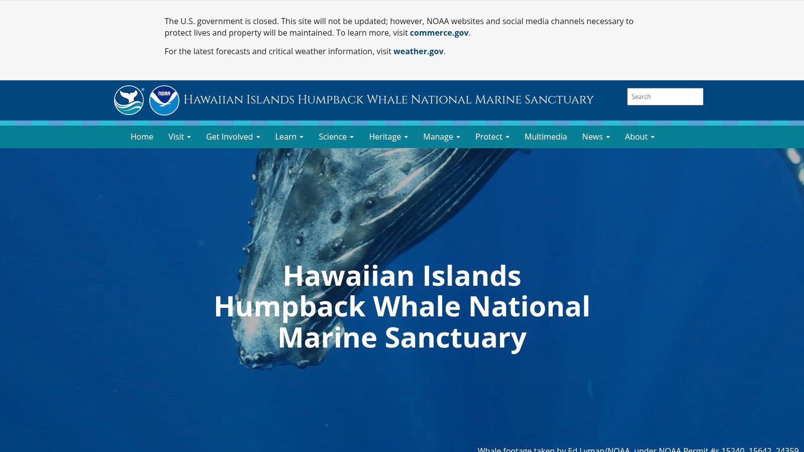 Hawaiian Islands Humpback Whale National Marine Sanctuary (NOAA)