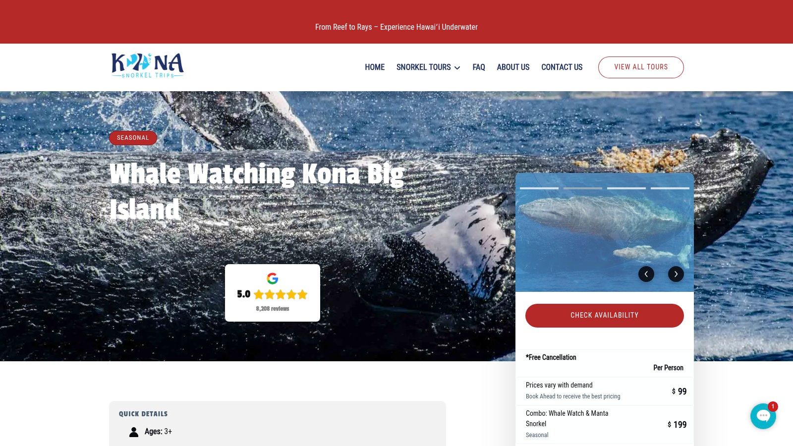 Whale Watching Kona Big Island Tours — Kona Snorkel Trips