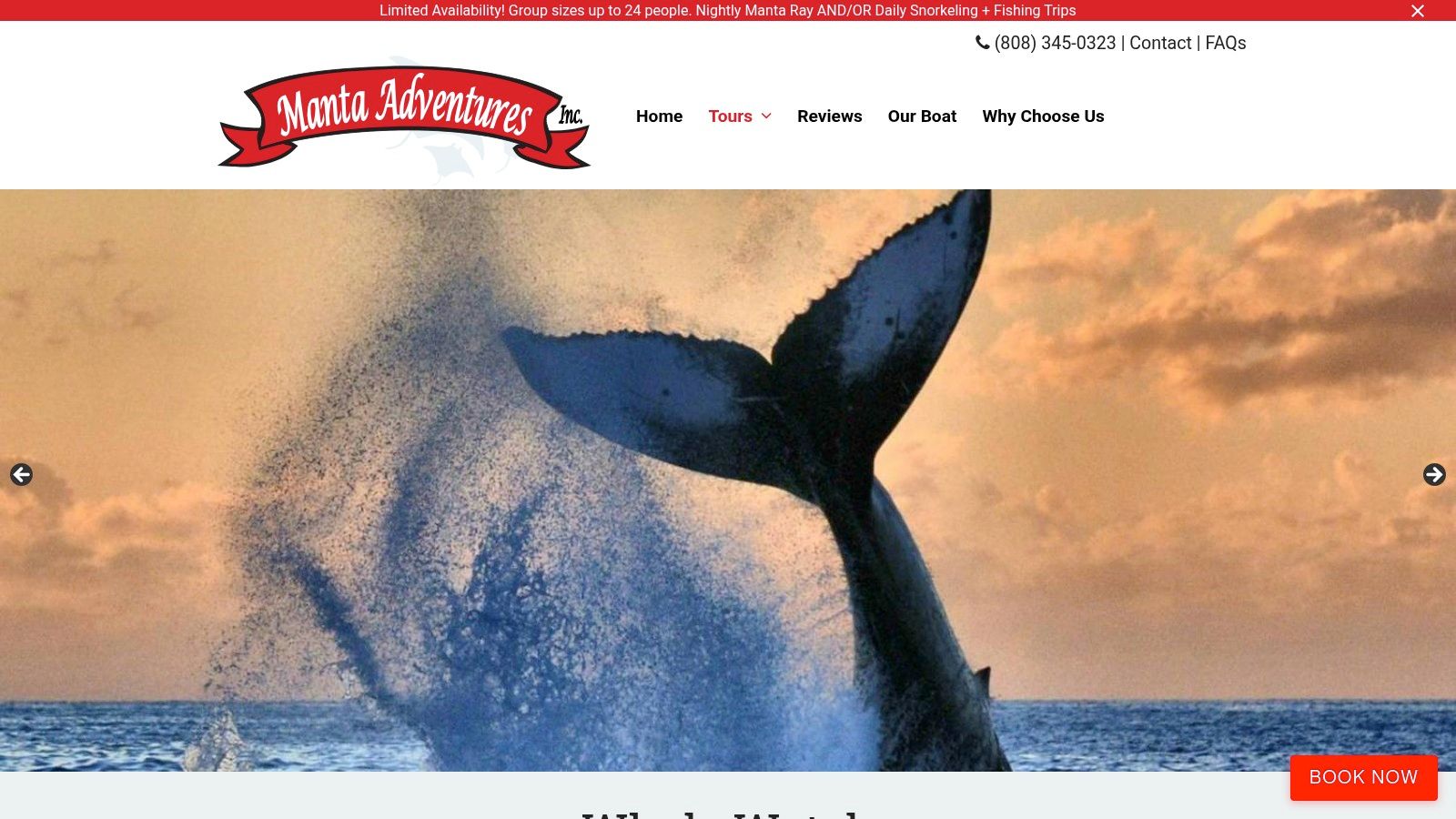 Manta Adventures