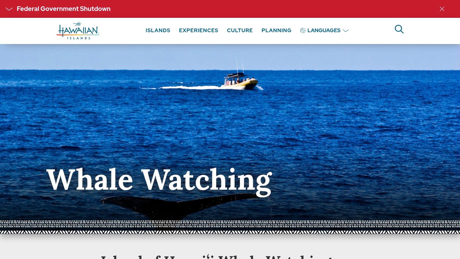 GoHawaii – Big Island Whale Watching Overview (official tourism)