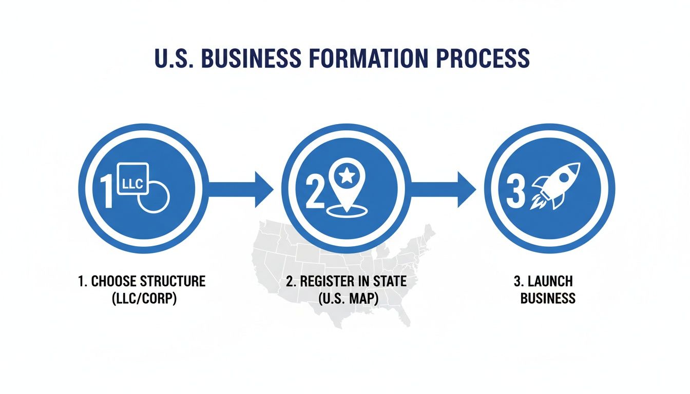 Infographic showing the three-step U.S. business formation process: choose structure, register in state, launch business.