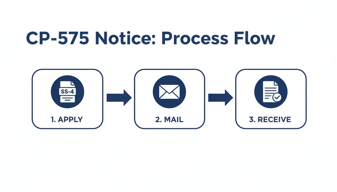A flowchart illustrating the CP-575 Notice process, showing steps to Apply, Mail, and Receive.