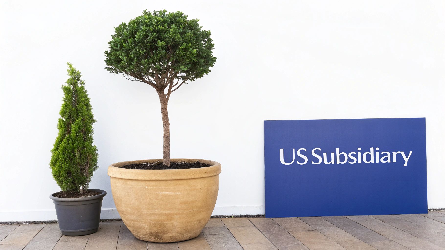 Two potted plants next to a blue sign reading 'US Subsidiary' against a white wall.