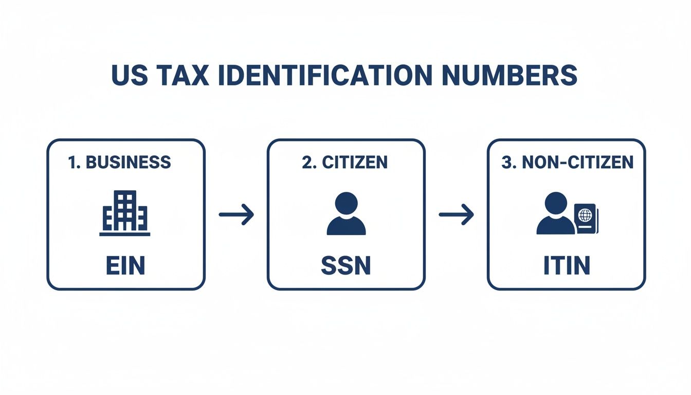 Diagram showing US Tax Identification Numbers: EIN for Business, SSN for Citizen, and ITIN for Non-Citizen.