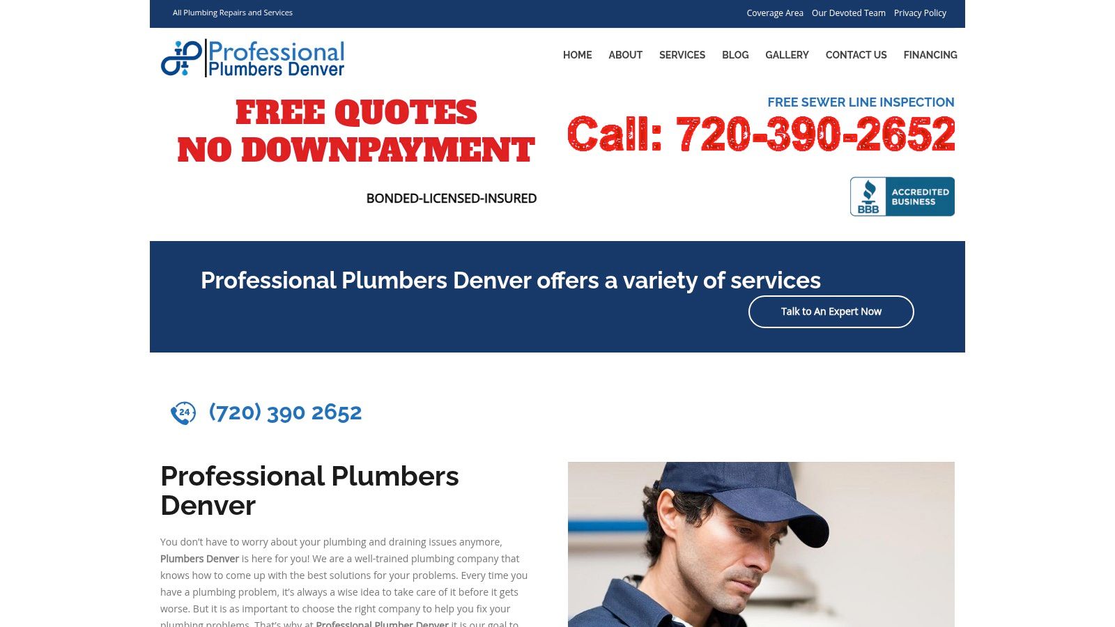 Professional Plumber Denver