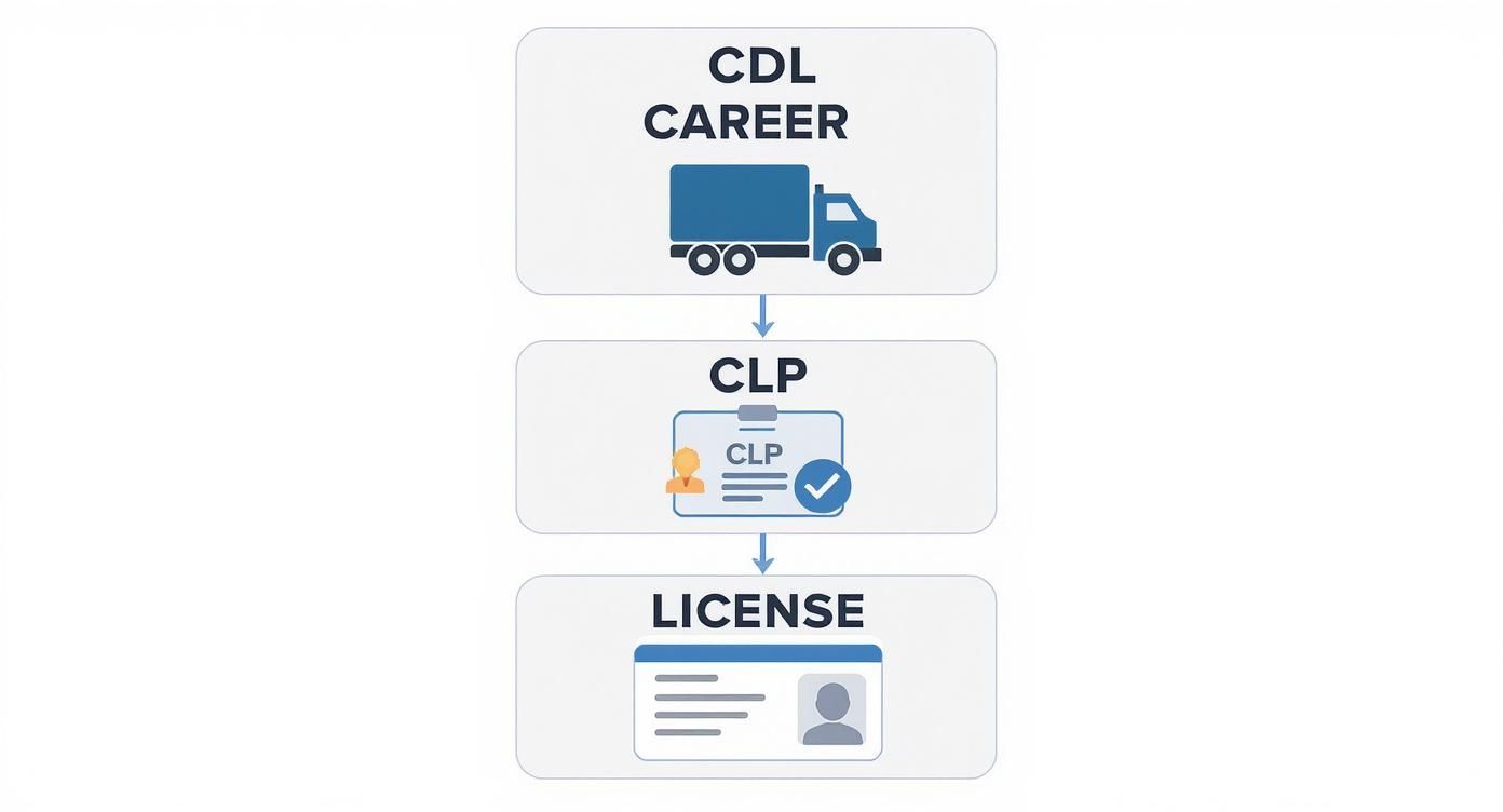 Infographic about cdl permit test