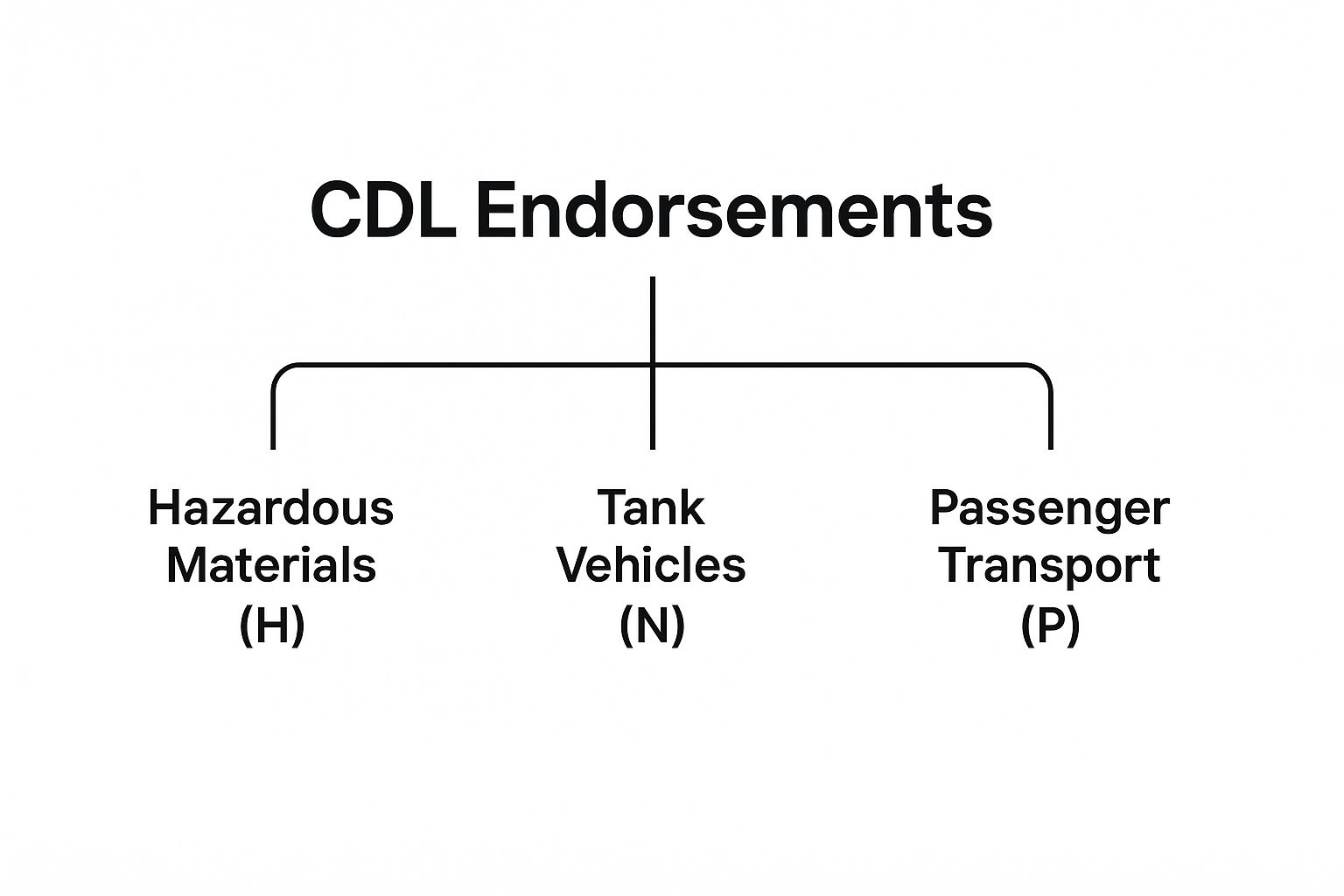 Infographic about requirements for cdl license