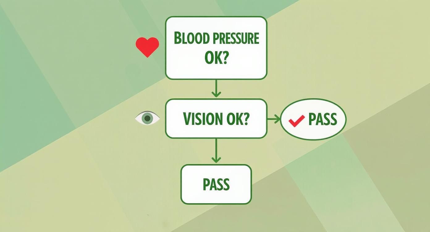 A simple flowchart outlines steps for blood pressure and vision checks, both resulting in a pass.