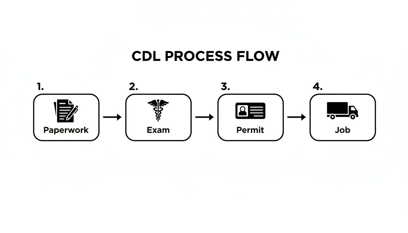 Flowchart illustrating the four-step CDL process: paperwork, exam, permit acquisition, and job placement.