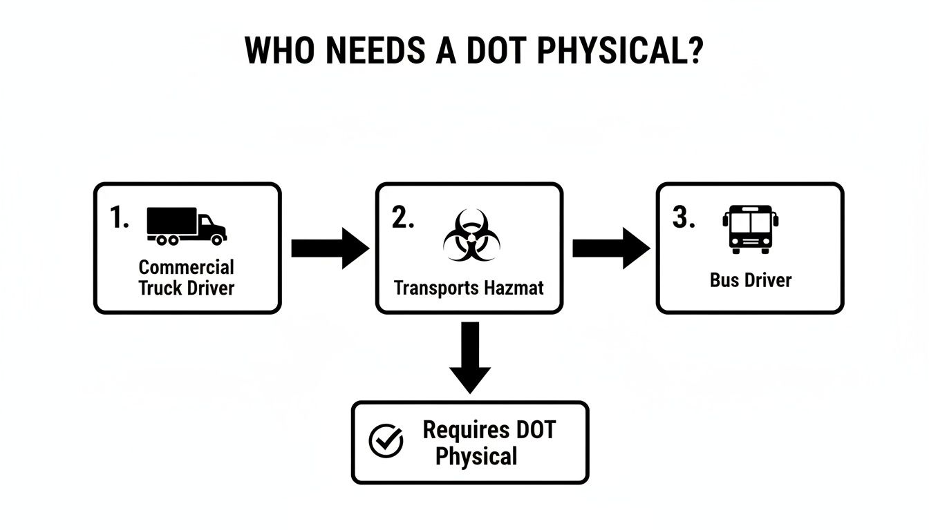 Flowchart explaining who needs a DOT physical, including commercial truck drivers, hazmat transporters, and bus drivers.