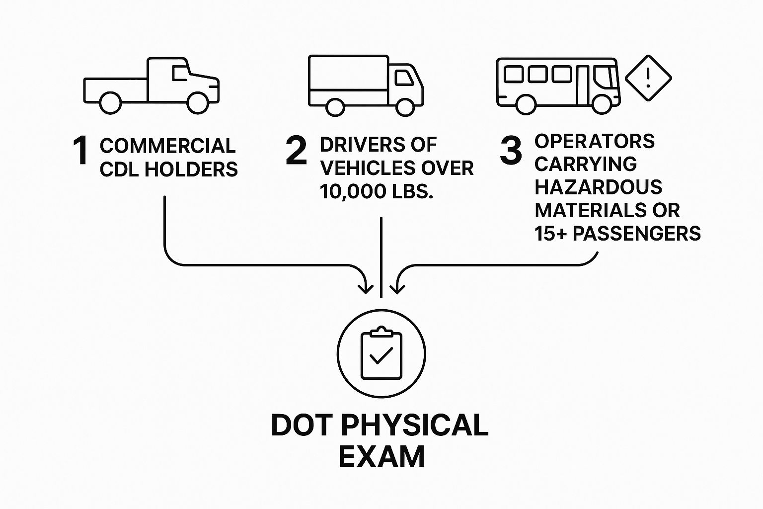 Infographic about what is a dot physical exam