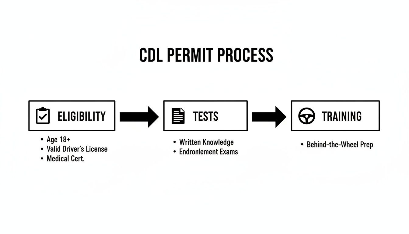 Flowchart outlining the Commercial Driver's License (CDL) permit acquisition process, from eligibility to training.