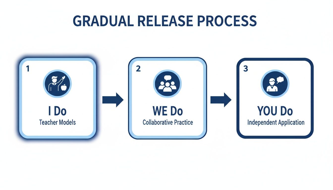 Diagram illustrating the gradual release process with three stages: I Do, WE Do, and YOU Do.