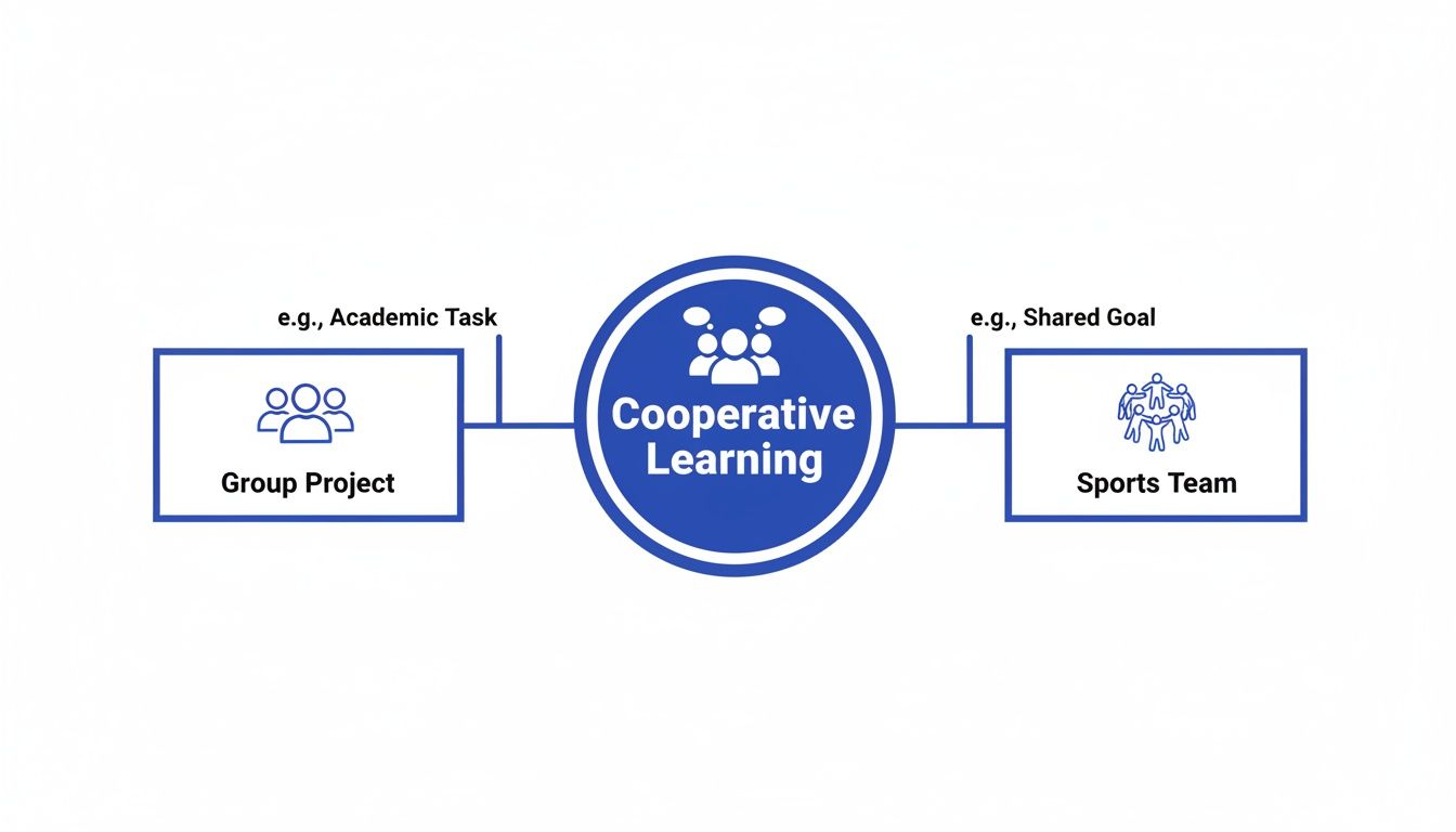 Diagram illustrating cooperative learning, connecting it to group projects and sports teams.