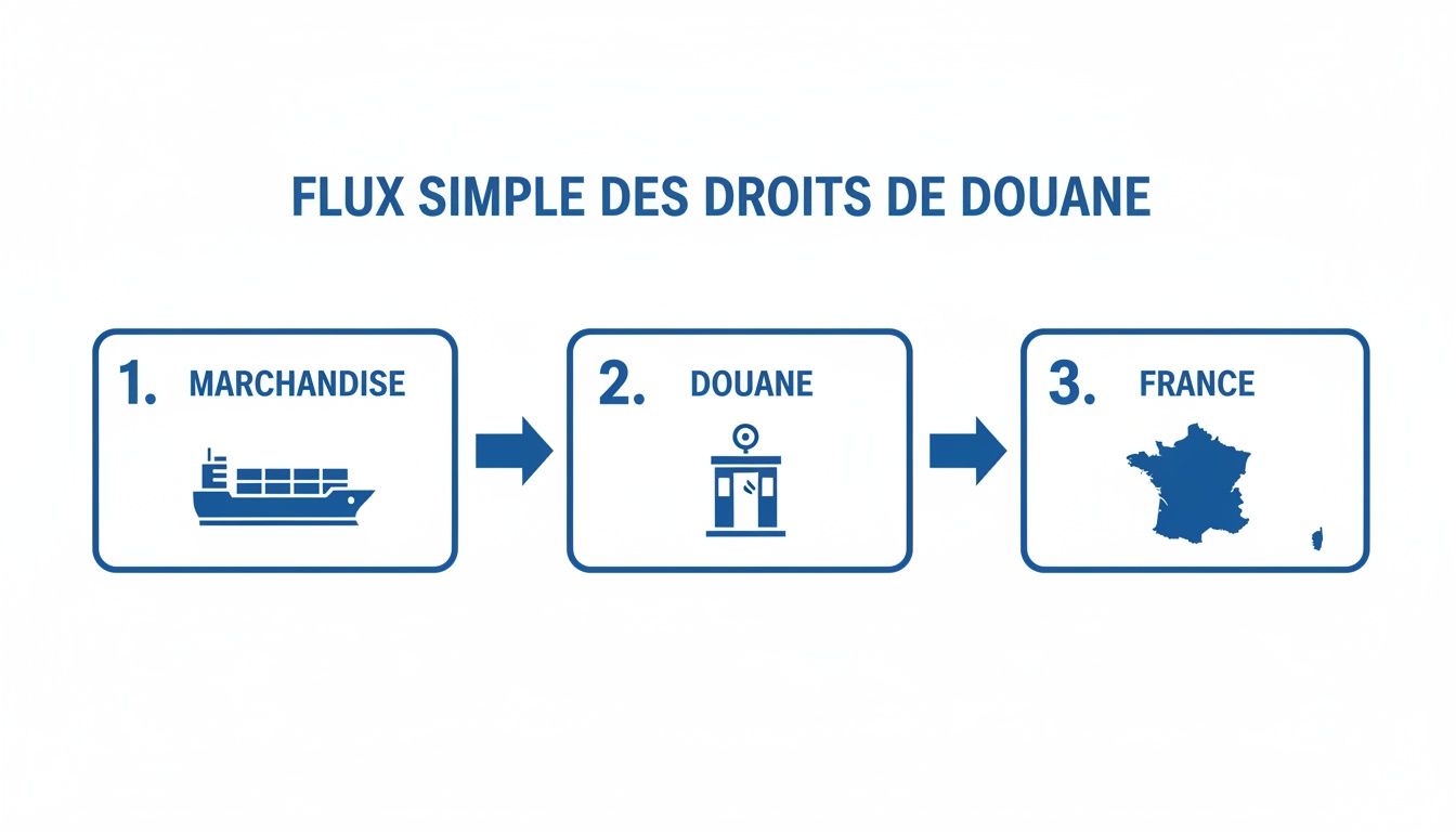 Diagramme illustrant le flux simple des droits de douane: Marchandise par bateau, Douane, puis l'entrée en France.