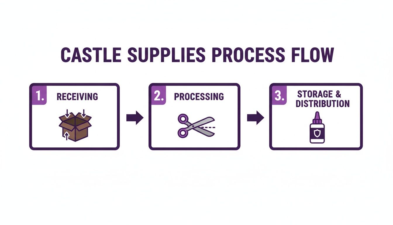 A three-step process flow for castle supplies, including receiving, processing, and storage and distribution.